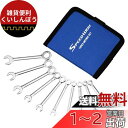 SPEEDWOX 片目片口スパナセット 薄型スパナ ミニコンビレンチセット 10本組 4mm-11mm メートル製 コンビネーションレンチセット ショートタイプ 軽量 紛失防止 工具収納用ポーチ付 小さなネジ 締め付け 緩め 車 ホビー 便利 作業工具