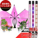 Hooha 植物育成ライト LED 植物ライト 5ヘッド 室内栽培ランプ 観葉植物育成ライト 50W 100LEDランプ 定時機能 (3H / 6H / 12H) 5段階調光 360°調整可能 3つの照明パターン 水耕栽培ランプ 低消耗 省エネ USB給電 日照不足解消 植物成長促進用ランプ 食虫植物 塊根植物