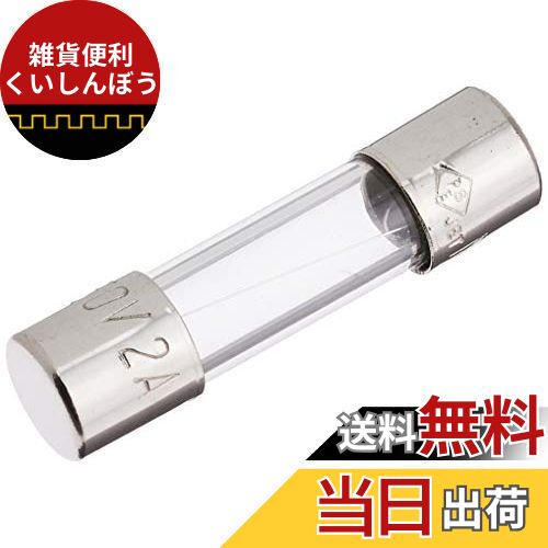 オーム(OHM) 電機 ミニ管ヒューズ ガラス管ヒューズ 2A-250V 4本 04-1627 DZ-MF2