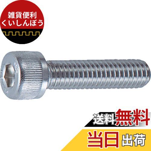 TRUSCO(トラスコ) 六角穴付ボルト ステンレス全ネジ M10×16 8本入 B44-1016