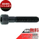 TRUSCO(トラスコ) 六角穴付ボルト 黒染め半ネジ サイズM5×55 19本入 B30-0555