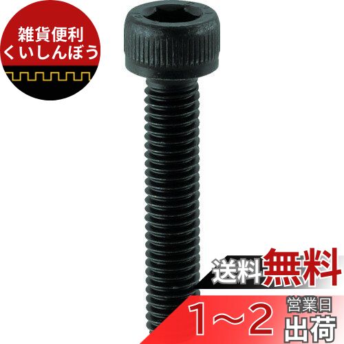 TRUSCO(トラスコ) 六角穴付ボルト 黒染め全ネジ M20×60 2本入 B30-2060
