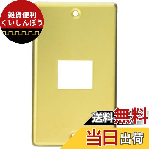 オーム電機(Ohm Electric) プレート HS-UC01