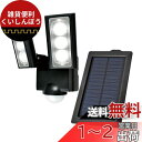 エルパ (ELPA) ソーラー式 センサーライト 2灯 (白色LED/防水仕様) 屋外 センサーライト 足元 (ESL-312SL)