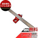 CarAngels 木工ケガキ工具セット マグネット付き ルーラーストップ & ステンレスルーラー 45度・90度 ケガキゲージ位置決め (CX300-1)