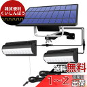 Aokyoung 分離型2灯LEDソーラーライト 屋外 LED センサーライト ソーラーパワードコリドーウォールライト 5500mAh超大電池容量 延長コード3m*4本 太陽光パネル充電 自動点灯/消灯 電気代不要 分離式 高輝度 LED 防水 防犯 室外/室内兼用 取付簡単 (昼白色)