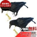 ONESORA カラスよけ 鳥よけグッズ 本物そっくり リアル羽毛カラス 【小振りサイズ 2羽】 ぶら下げて吊るすだけ カラス撃退