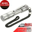 オーム電機 懐中電灯 アウトドア用ハンディライト 防水 LEDペンライト フォーカス付 100ルーメン LH-PY01Z-S2 08-1006 OHM シルバー