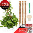 JANLOFO 支柱 園芸 3本セット 園芸支柱 60cm モンステラ フラワースタンド ヘゴ支柱 ガーデニング支柱 ココナッツ支柱 花支え 支柱 水分養分維持...