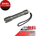 エルパ(ELPA) LED懐中電灯 防水 明るさ250ルーメン ハンドストラップ付き 電池式 電池残量表示 シルバー DOP-EP420