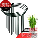 YOUSHY 支柱 園芸 8個セット 半円形観葉植物 支柱 植物サポートリング 花ささえ 農業用 園芸用品 ガーデニング花支え支柱 (25cmx60cm)