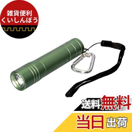 エルパ (ELPA) LEDカラー懐中電灯 防水 100ルーメン 連続点灯約15時間 グリーン DOP-EP302