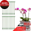 Coollooda 園芸支柱【20本組セット】観葉支柱 植物支柱 花ささえ 観葉植物 支柱棚 花支え ガーデニング 柱 植物サポート ガーデニング 家庭菜園 農業用 園芸用 グリーン 27cm