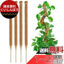 YOUSHY 園芸支柱 観葉植物モンステラ 支柱 ヘゴ支柱つる性植物 ココスティック支柱 植物サポート 維持水分 養分維持 ココナッツ支柱 ガーデニング支柱 農...
