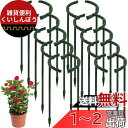 Hitchlike 植物支柱 20本組セット 花ささえ スライド支柱 花 ガーデニング用 つる性植物 花支え 25cm T形 植物成長 盆栽用 農業用 園芸用ツ...