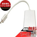 LINDY MHL-VGA 変換アダプタ(オーディオ出力付き)(型番:41574)(2)