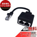 CERRXIAN RJ45 CAT6 1対2メスソケットポートLANイーサネットネットワークスプリッタカプラアダプタケーブル(20CM)