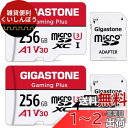 Gigastone マイクロsdカード 256GB 2個セット, 2 SDアダプタ付き, 2 ミニ収納ケース付き, 4K UHD動画 100MB/S 高速 MicroSDXC, UHS-I A1 V30 U1 Class 10(2)