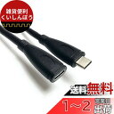 Access 300cm【 Gen2(10Gbps) PD対応 100W/5A急速充電 】USB Type C 延長ケーブル マイクロファイバークロス付き US...
