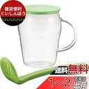 iwaki(イワキ) 耐熱ガラス シロップメーカー アレンチン ピスタチオグリーン 500ml KT5052-G