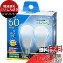 オーム(OHM) オーム電機 LED電球 小形 E17 60形相当 昼光色 2個入 LDA6D-G-E17IH92-2(3)