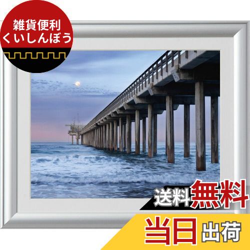 Kenko アルミ額縁 ルックマイルド 半切 アクリルパネルシルバー ALM-H-SV