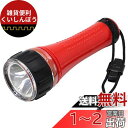 エルパ(ELPA) 電池が選べるライト 白色LED×1灯 防水仕様:IPX7(防浸形) DOP-300