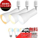 ANWIO ダクトレール用 スポットライト 3個セット E26口金 900LM 消費電力8.3W(60W形相当) LED電球付き リモコン付き 調光 調色 レー...