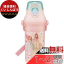 スケーター(Skater) 水筒 480ml プリンセス 23 子供用 女の子 抗菌 プラスチック製 日本製 PSB5SANAG-A(3)