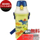 スケーター(Skater) 水筒 ディノサウルス ピクチャー 480ml 子供用 男の子 抗菌 プラスチック製 日本製 PSB5SANAG-A