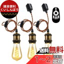 ANWIO ペンダントライト 3個セット 配線ダクトレール用 4.5W(20W形相当) E26口金 リモコン付き ダクトレールライト 北欧 シーリングライト レトロペンダントライト エジソン電球 LED電球付き 天井照明 角度調節可能 省エネ 居間 玄関 食卓 (電池別売)