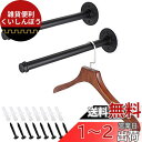 Sumnacon パイプ型 ウォールハンガー 壁掛けラック 衣類ハンガーラック 服掛けラック タオル掛け 壁 ネジ 焼付け塗装 錆びにくい アンティーク調 寝室...