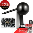 5WYOUKE【30個入】 石膏ボード フック 画鋲 フック ピンフック 耐荷重約5kg 壁 傷つけない おしゃれ ブラック ミニ 目立たない 押しピン 賃貸 絵画 額縁 時計 カレンダー 飾り用 壁掛け フック 石膏ボード ベニヤ板 木用 フック 収納ケース 付き