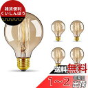 Bravelight エジソン電球 60W E26/E27口金 【G95】 ボール電球 暖色 おしゃれ エジソンバルブ レトロ電球 アンティーク照明 装飾電球 ...
