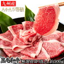 【送料無料】黒毛和牛 牛肉 訳あり！霜降ブランド牛 九州産黒毛和牛A4・A5等級 無選別 切り落とし500g