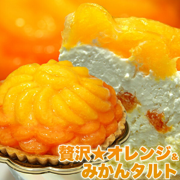 【送料無料】みかんたっぷり オレンジタルトケーキ 直径14cmホールケーキ！オレンジ＆みかんタルト