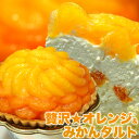 【送料無料】みかんたっぷり オレンジタルトケーキ 直径14cmホールケーキ！オレンジ＆みかんタルト