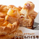 【送料無料】リンゴたっぷりアップルパイ 直径14cmホールケーキ！アップルパイ