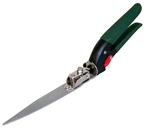 ����ܥ�(Kinboshi) ���������ž�� ������ 2107