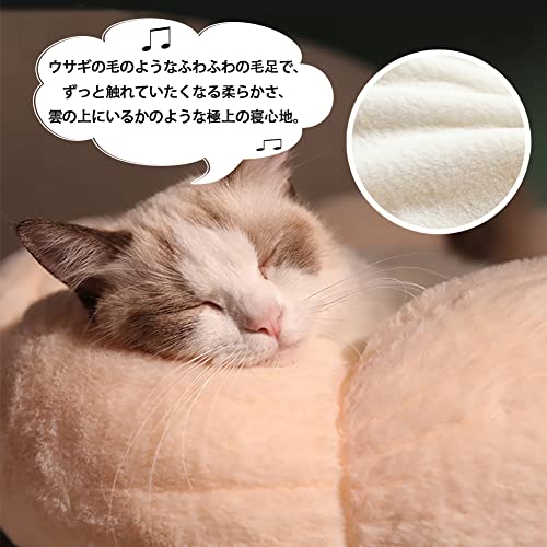 Bidason �ڥå� �٥å� �� ���å���� �ɡ��ʥ� �⤳�⤳ �դ�դ� �İ��� �ַ� �Ȥ��� �饦��� �դ��դ� ���� �������� ���� ǭ ���� ���ߤ� �ɴ� ���ե� �ڥå����� �� ��