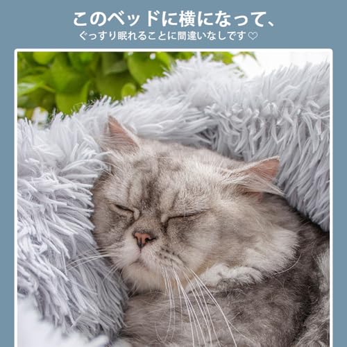 Bidason ǭ �� �٥å� ���å���� ���������� ���٥å� ǭ�٥å� ��դ�� �⤳�⤳ ���� �Ȥ��� �ɴ��к� ���ä���̲��� ���� ���ߤ� �ڥåȥ٥å� ������ �ڥå����� ������ ��ǯ