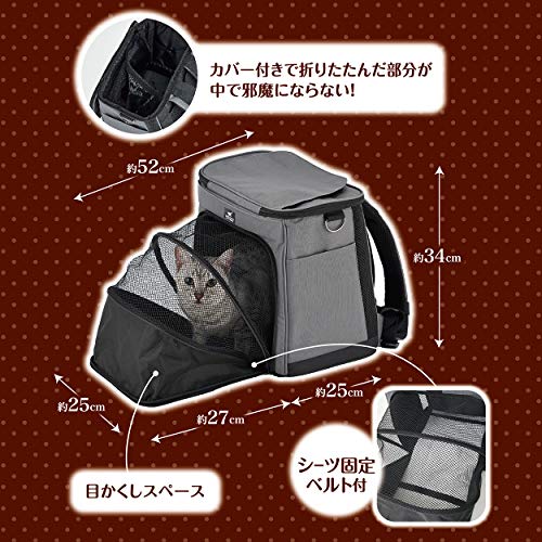 �ڥƥ��� (Petio) necoco �ͥ��� ��ư�����Ǥ��Ĥ������å�����꡼ ���졼