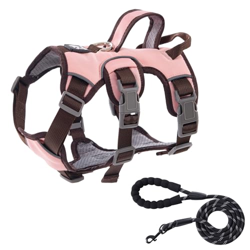 ペット ドッグブーツ 犬用靴 小中型犬 犬 靴 春 夏 室内 室外 ファスナー メッシュ シューズ 運動靴 サンダル 履きやすさ 軽い 柔らかく 簡単着脱 滑り止め 散歩 5サイズ選べる 全3色 S ブルー