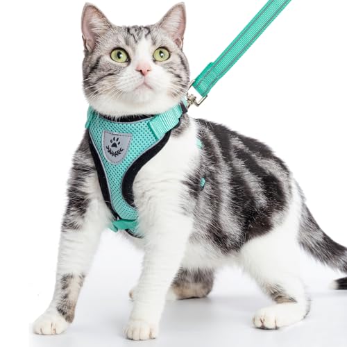 PUPTECK 猫 ハーネス リード セット 猫用ハーネス 猫牽引ロープ 猫用胴輪 ペット用品 人気 可愛い おしゃれ リード付き 夜間反射 調節可能 着脱簡単 抜けない 通気メッシュ 軽量 耐久性 安全