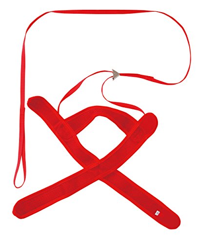 �ڥƥ��� (Petio) ǭ��Į���եȥϡ��ͥ��꡼�� �ޤ� ��å� ǭ�� M ������