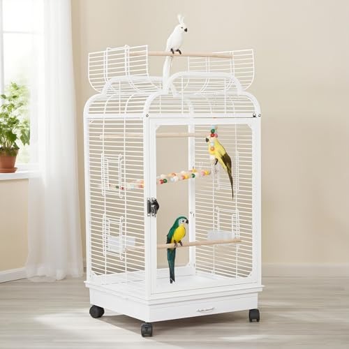 Ruexue Ļ Ʃѥͥ ӻɻ Сɥ Ŵ  ץȥå ݽ䤹    ᥤ...