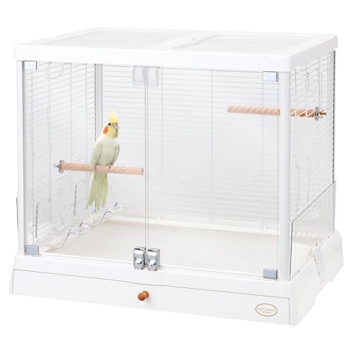 ߥ˥ޥ Сɥѥ쥹 ꥢ饤 65W ե륪ץξ ݽ饯饯 ҤӤ 磻65cm Ļ