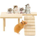 Avidora ハムスター 回し車 サイレントホイール 滑車 爪研ぎ 遊び道具 プラットフォームのみ