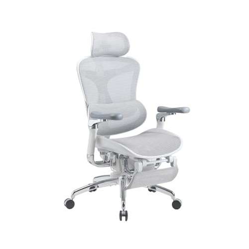 SIHOO Doro C500 オフィスチェア 椅子 デスクチェア【フットレスト付き】人間工学 チェア テレワーク 疲れない 人体工学椅 メッシュチェア 6D連...