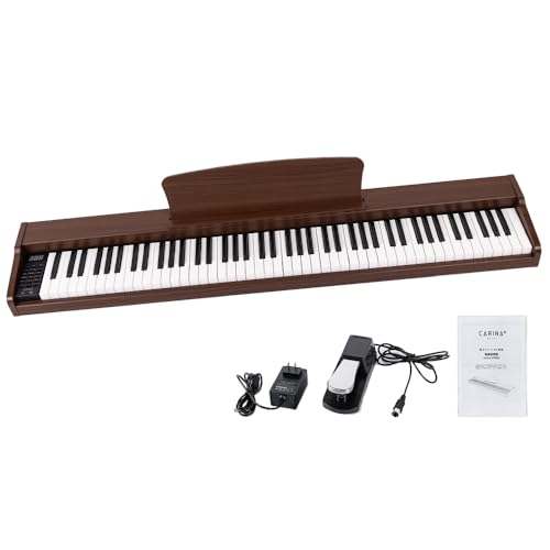 Carina Żҥԥ 88 ܡ ǥ MIDIб ƥڥ (ޥۥˡ